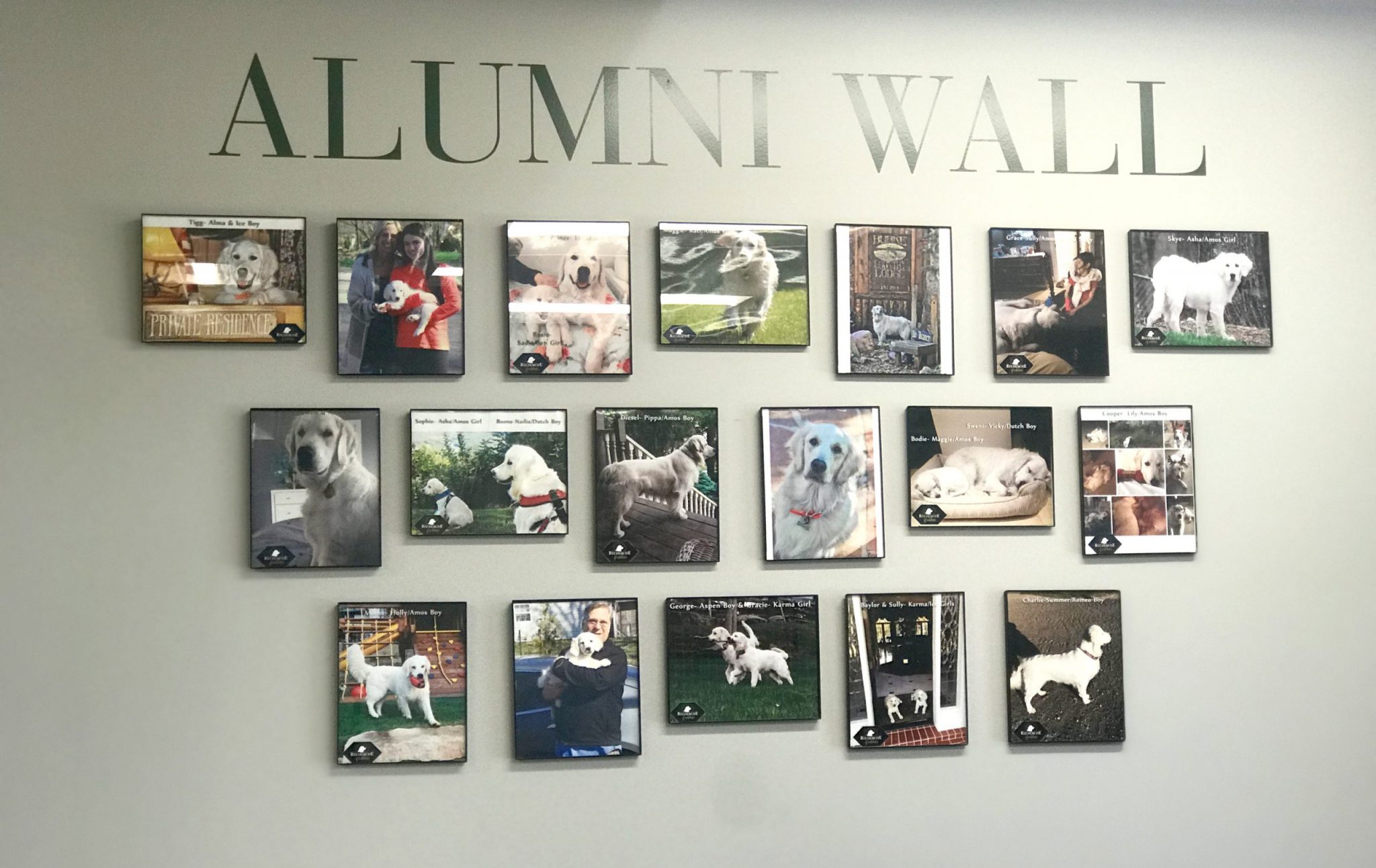 Alumni_Wall